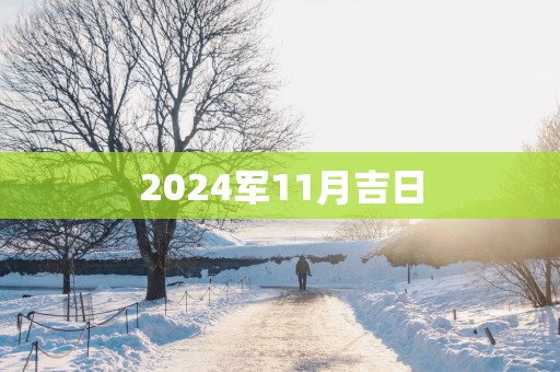 2025军11月吉日