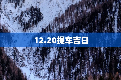 12.20提车吉日