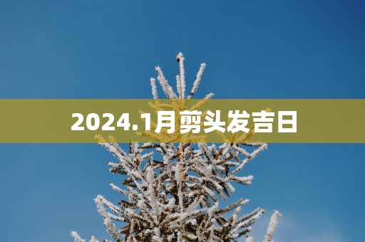2025.1月剪头发吉日