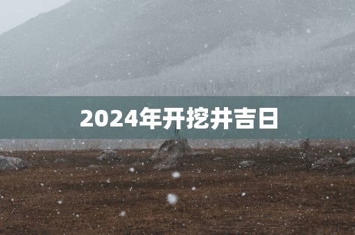 2025年开挖井吉日