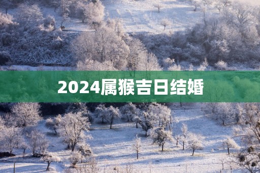 2025属猴吉日结婚