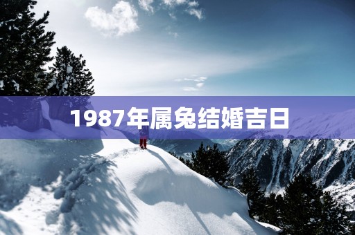 1987年属兔结婚吉日