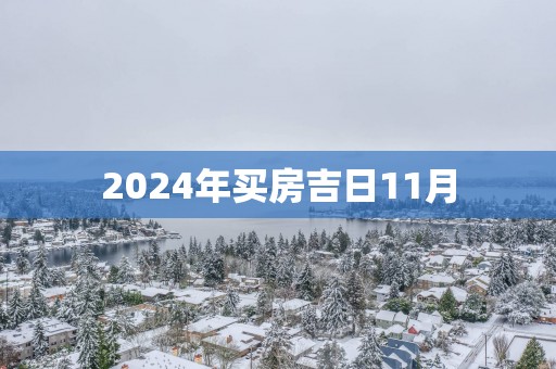 2025年买房吉日11月