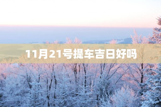 11月21号提车吉日好吗