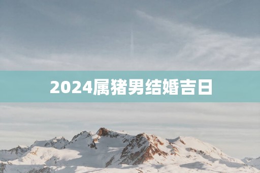 2025属猪男结婚吉日