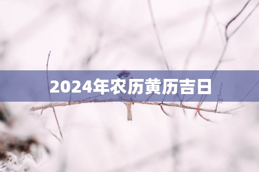 2025年农历黄历吉日