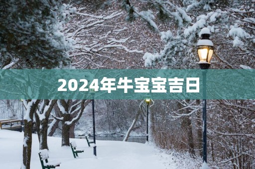 2025年牛宝宝吉日