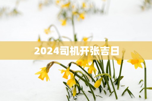 2025司机开张吉日