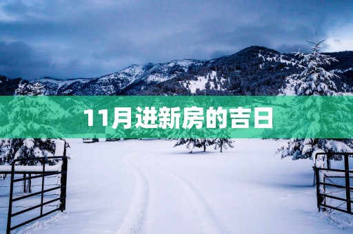 11月进新房的吉日