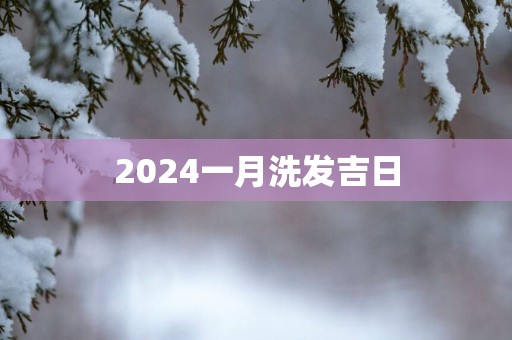 2025一月洗发吉日