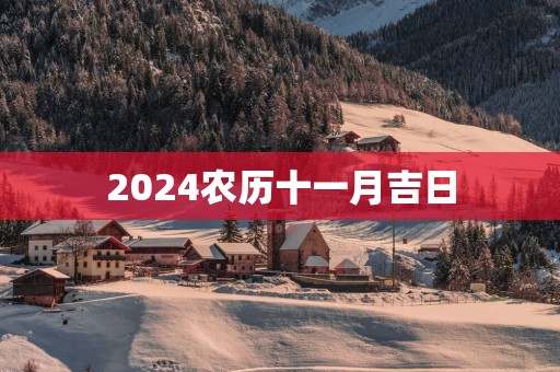 2025农历十一月吉日