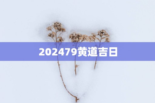 202579黄道吉日