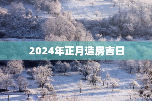 2025年正月造房吉日
