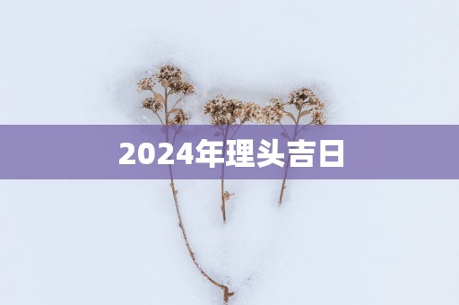 2025年理头吉日