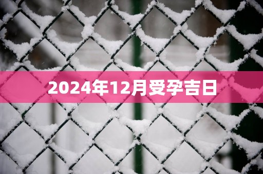 2025年12月受孕吉日