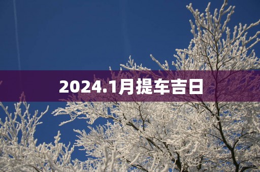 2025.1月提车吉日