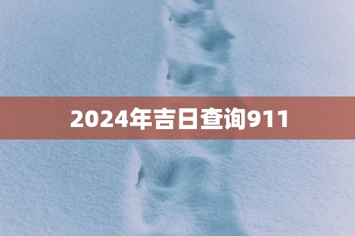 2025年吉日查询911