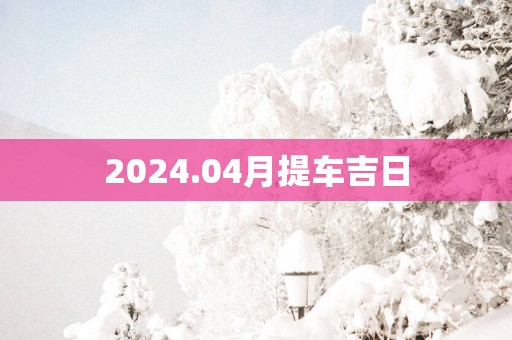 2025.04月提车吉日