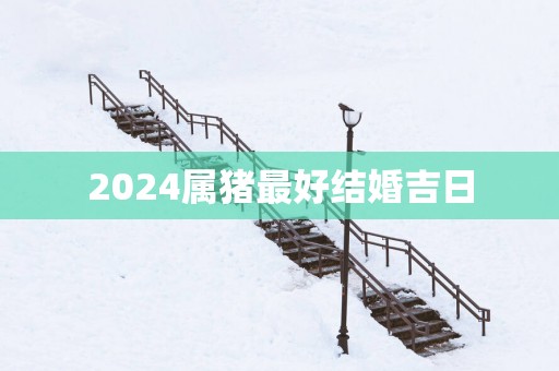 2025属猪最好结婚吉日