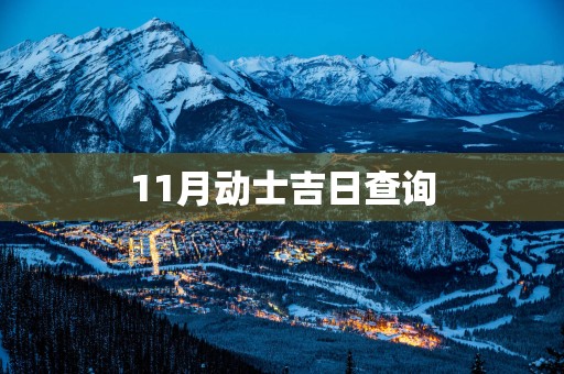 11月动士吉日查询