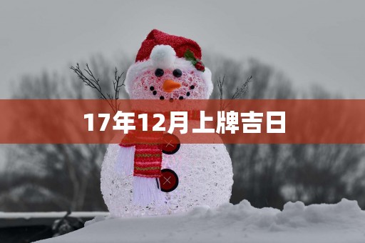 17年12月上牌吉日