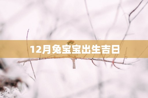 12月兔宝宝出生吉日