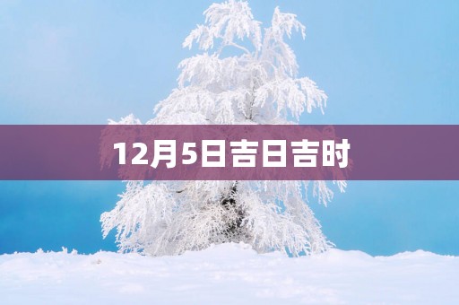 12月5日吉日吉时