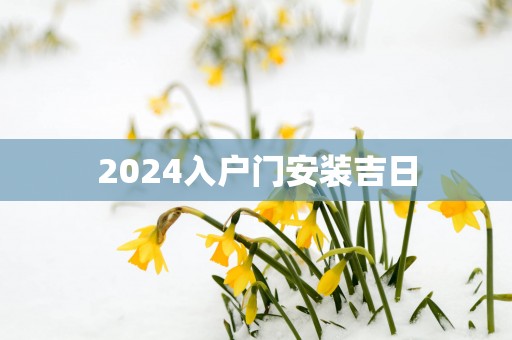 2025入户门安装吉日