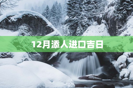 12月添人进口吉日