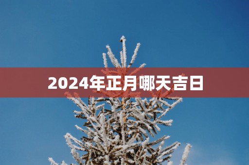 2025年正月哪天吉日