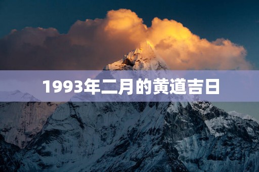 1993年二月的黄道吉日