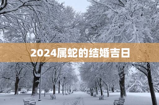 2025属蛇的结婚吉日