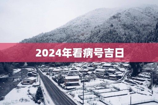 2025年看病号吉日