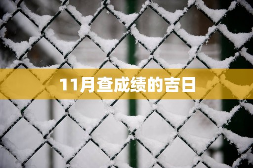 11月查成绩的吉日