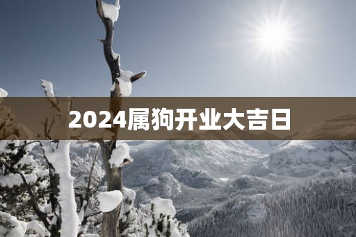 2025属狗开业大吉日