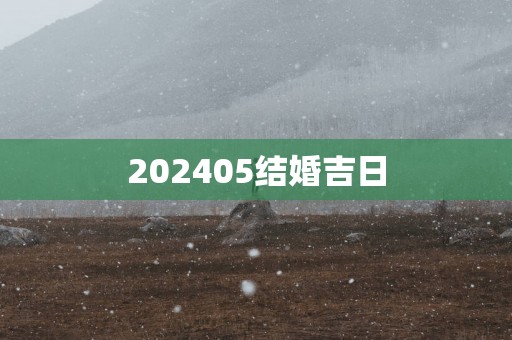 202505结婚吉日