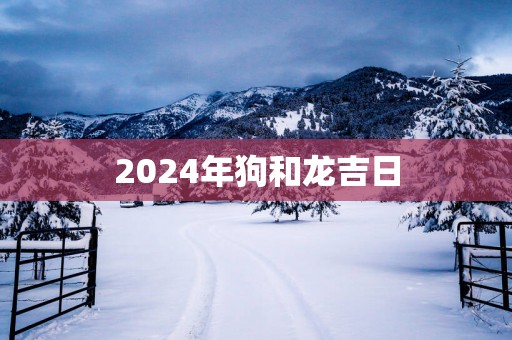 2025年狗和龙吉日