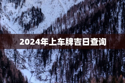 2025年上车牌吉日查询