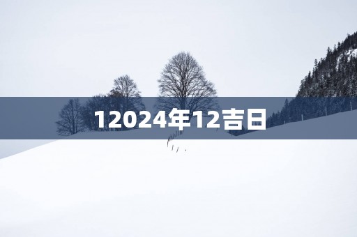 12025年12吉日