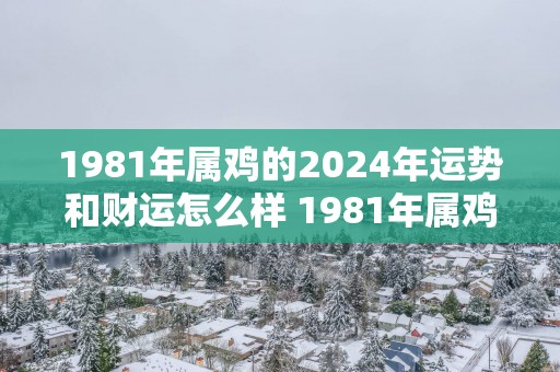 1981年属鸡的2025年运势和财运怎么样 1981年属鸡2025年运势和财运如何