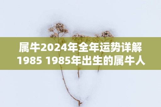 属牛2025年全年运势详解1985 1985年出生的属牛人2025年运势如何