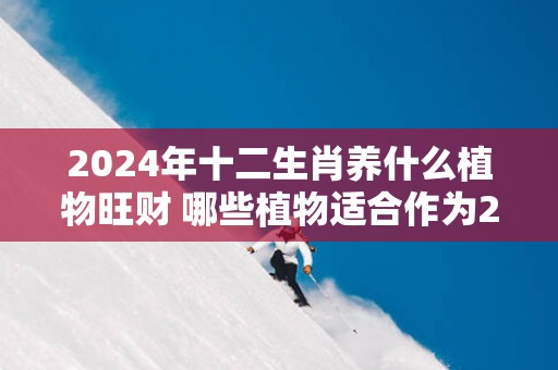 2025年十二生肖养什么植物旺财 哪些植物适合作为2025年十二生肖的财运之选