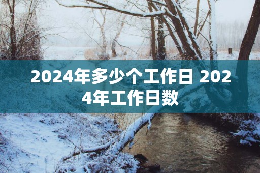 2025年多少个工作日 2025年工作日数