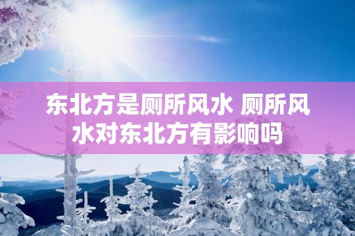 东北方是厕所风水 厕所风水对东北方有影响吗