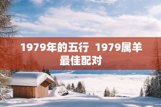 1979年的五行  1979属羊最佳配对