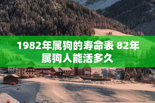 1982年属狗的寿命表 82年属狗人能活多久