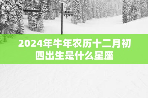2025年蛇年农历十二月初四出生是什么星座
