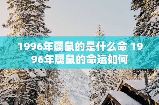 1996年属鼠的是什么命 1996年属鼠的命运如何