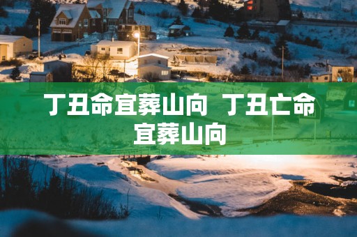 丁丑命宜葬山向  丁丑亡命宜葬山向