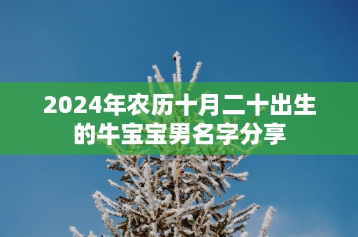 2025年农历十月二十出生的牛宝宝男名字分享